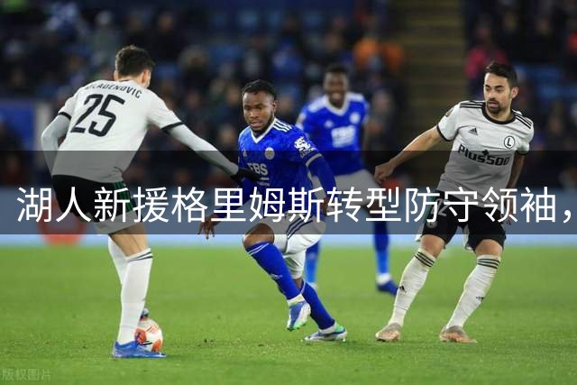 湖人新援格里姆斯转型防守领袖，能否扛起湖人后场重任？